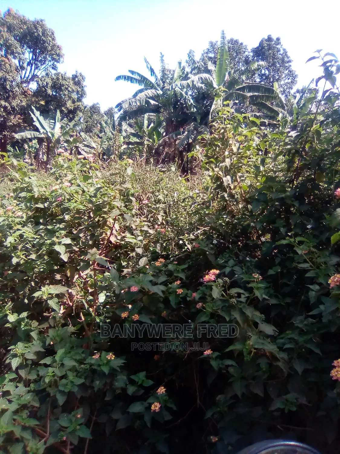 50/100 Plot for Sale in Nyeje