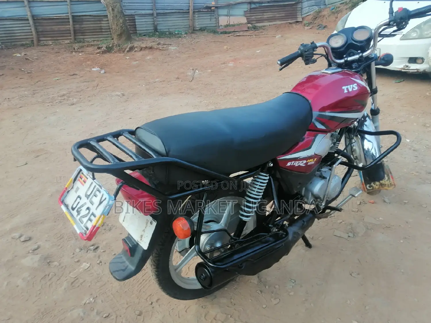 New Big Dog 2019 Red