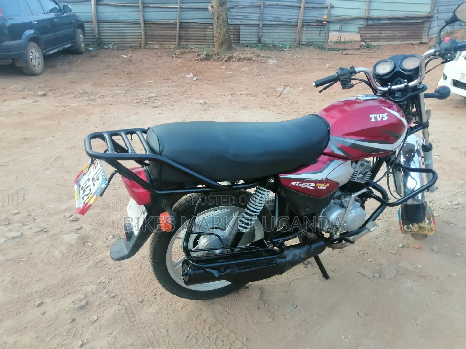New Big Dog 2019 Red