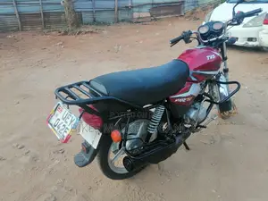 New Big Dog 2019 Red