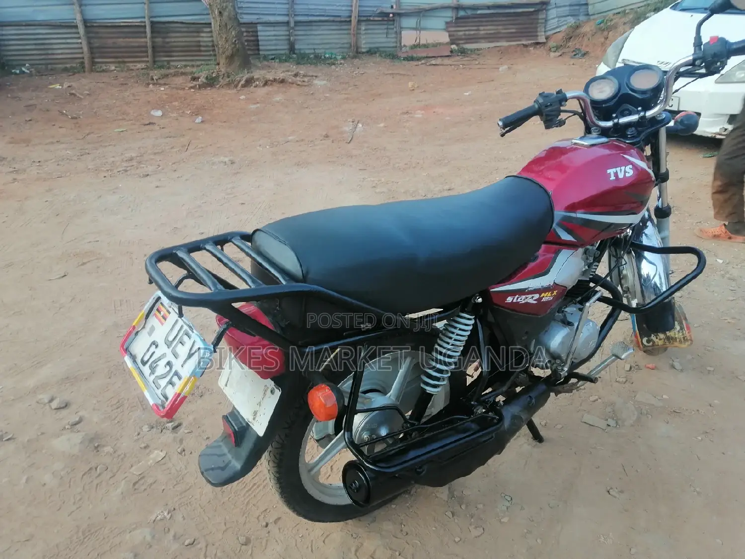 New Big Dog 2019 Red