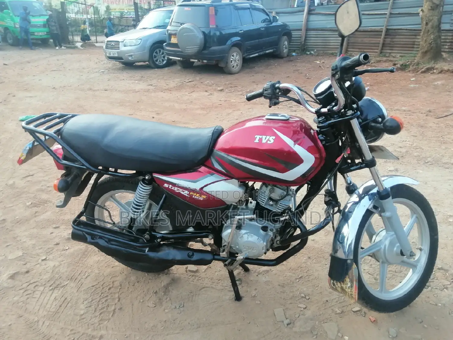 New Big Dog 2019 Red