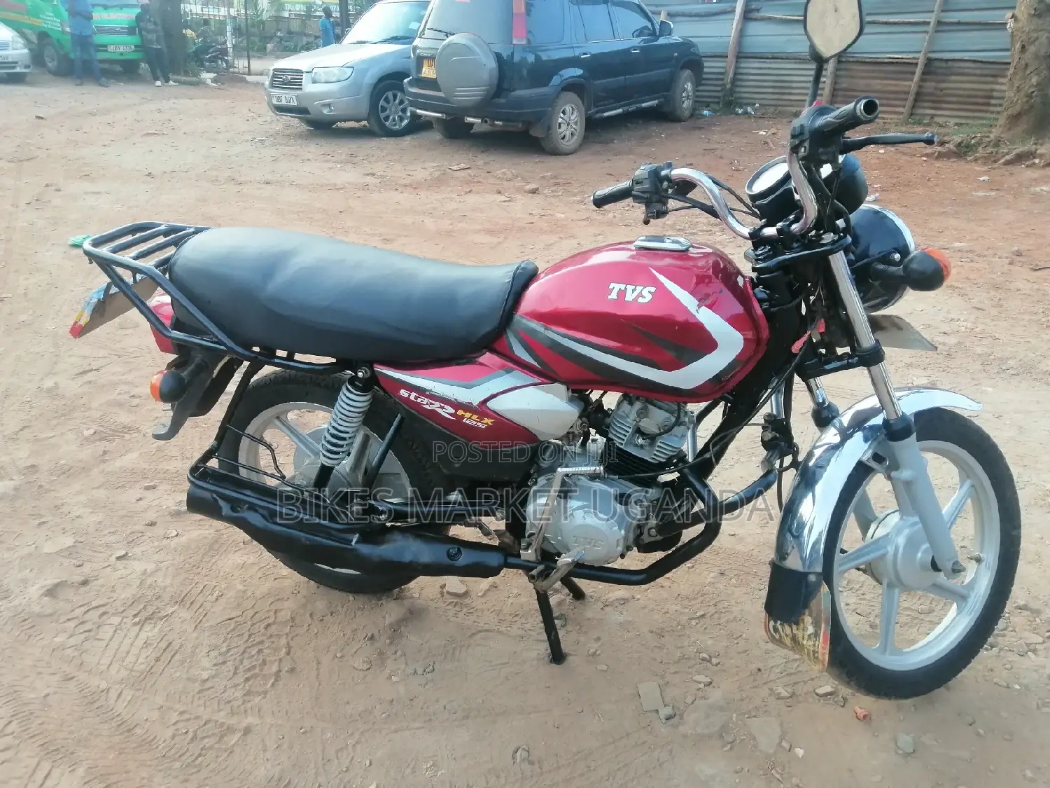 New Big Dog 2019 Red