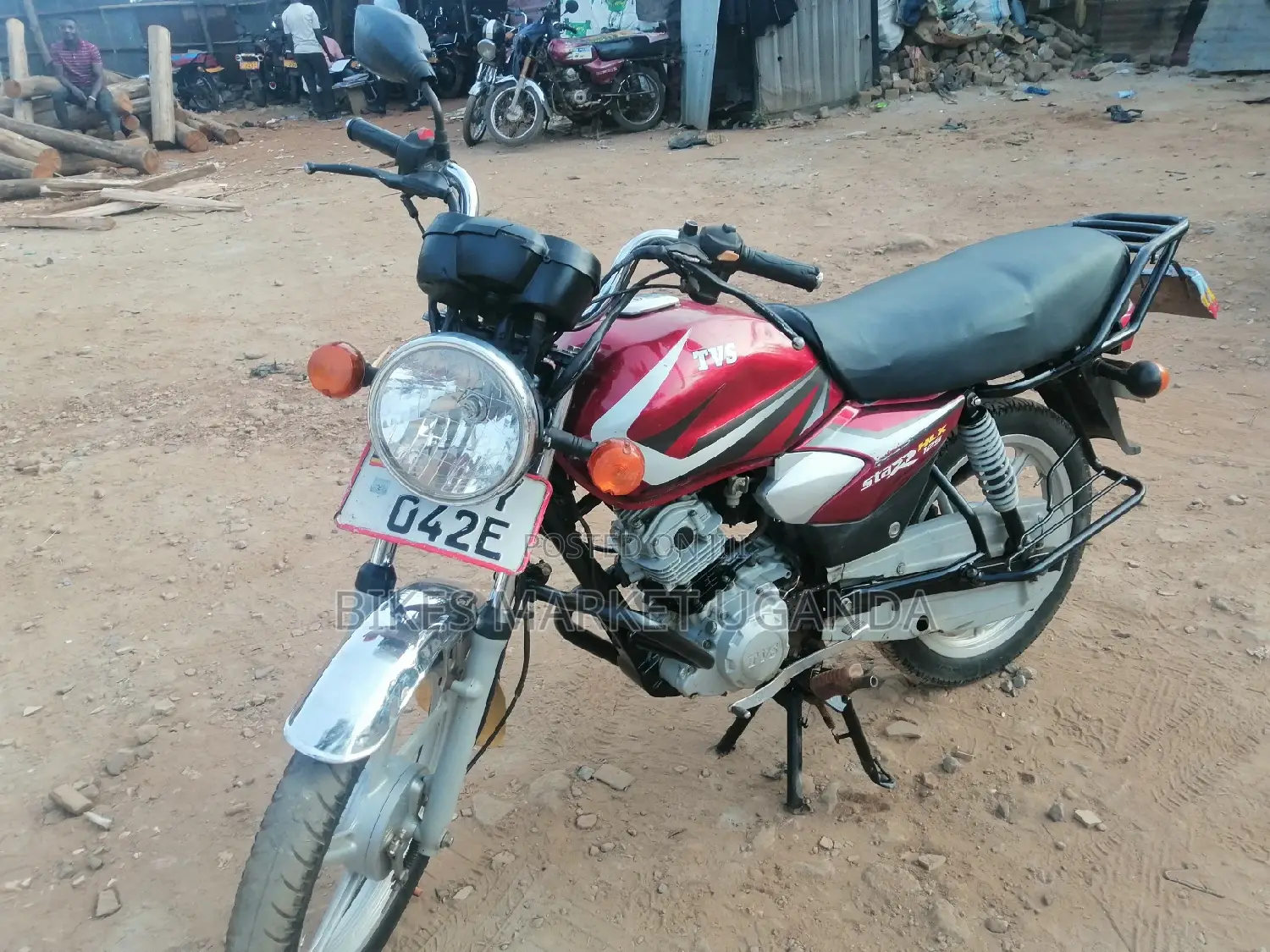 New Big Dog 2019 Red