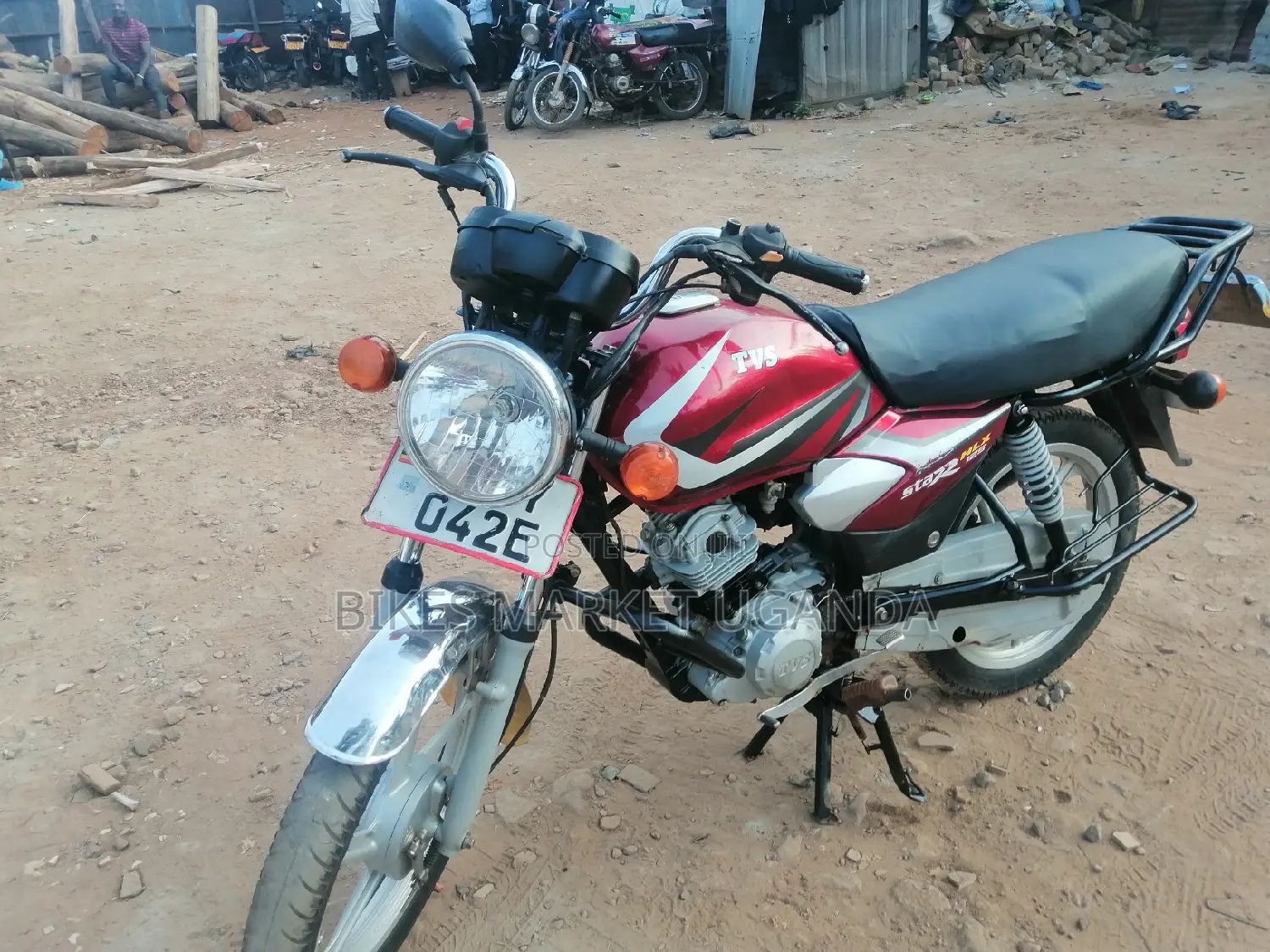 New Big Dog 2019 Red