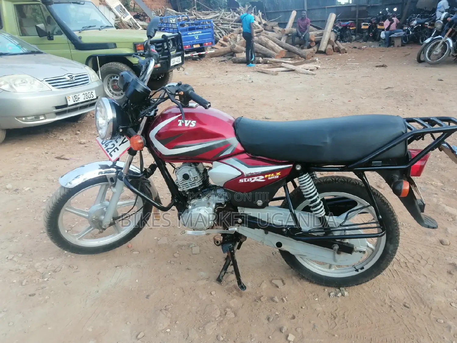 New Big Dog 2019 Red