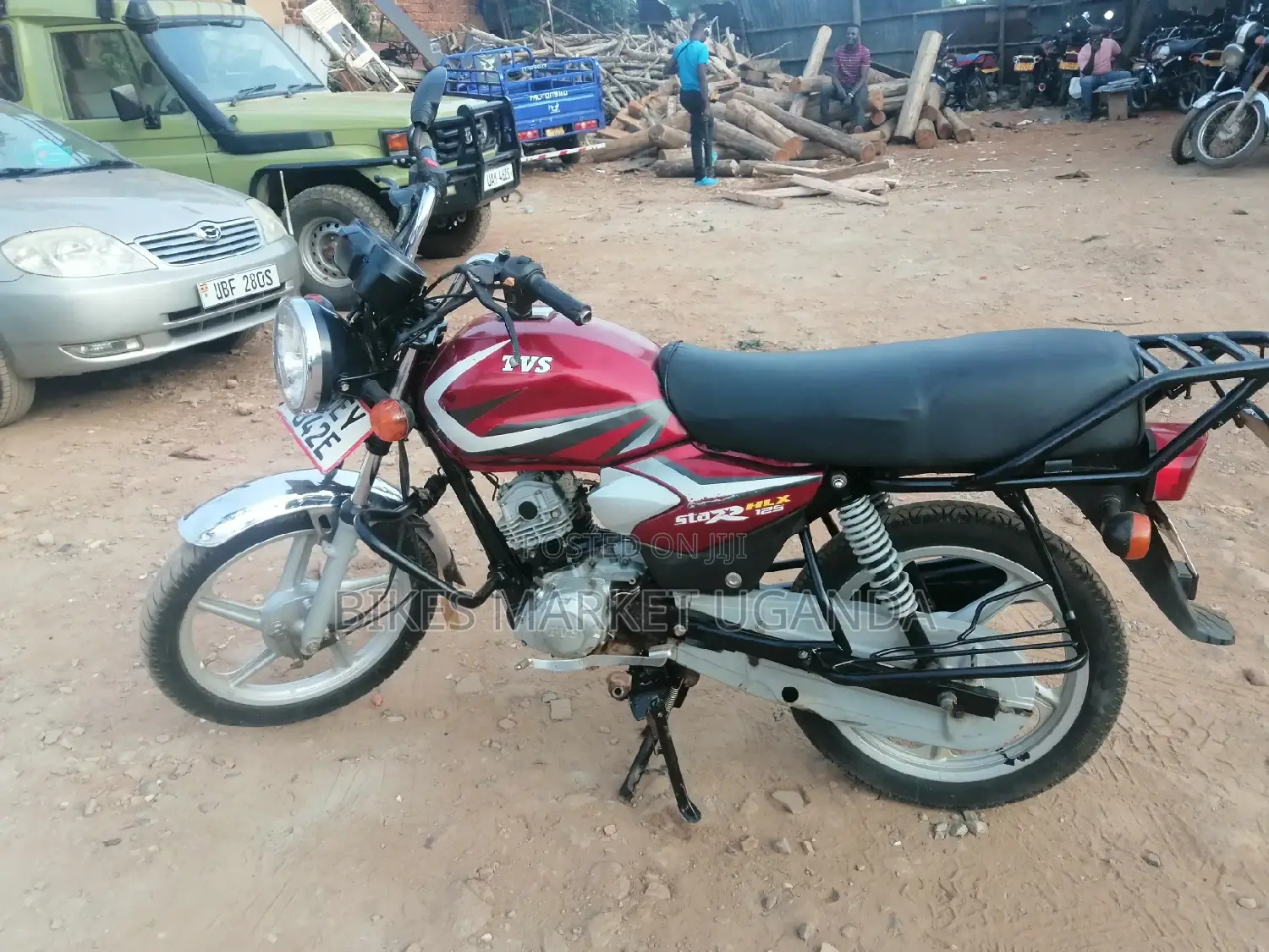 New Big Dog 2019 Red