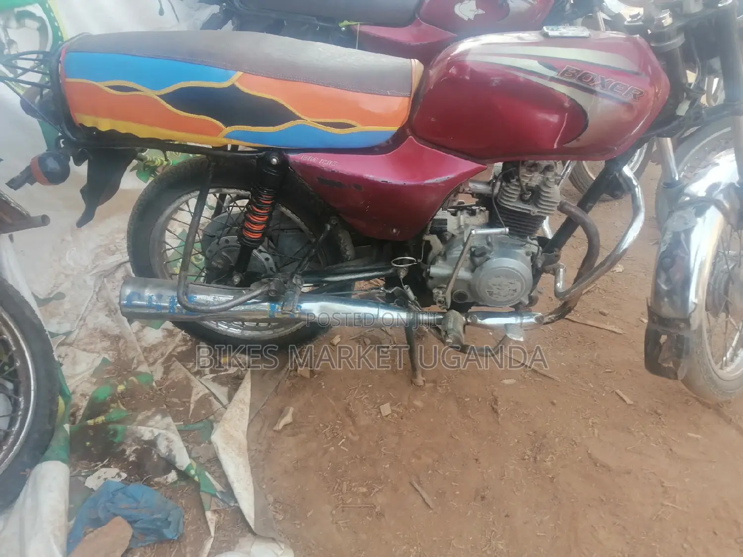 BSA 2016 Red