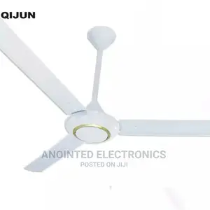 Ceiling Fan