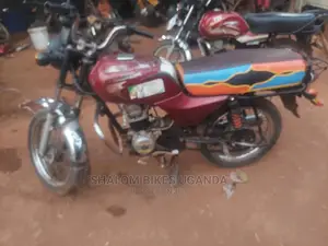 Bajaj Boxer 2019 Brown
