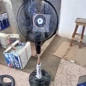 Remote Stand Fan