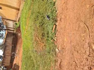 Masajja Busabala Rd 72ftby30ft by 65ft by 26ft Rectangular