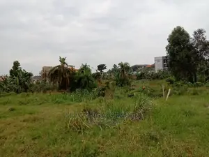 21decimals for Sale in Kungu