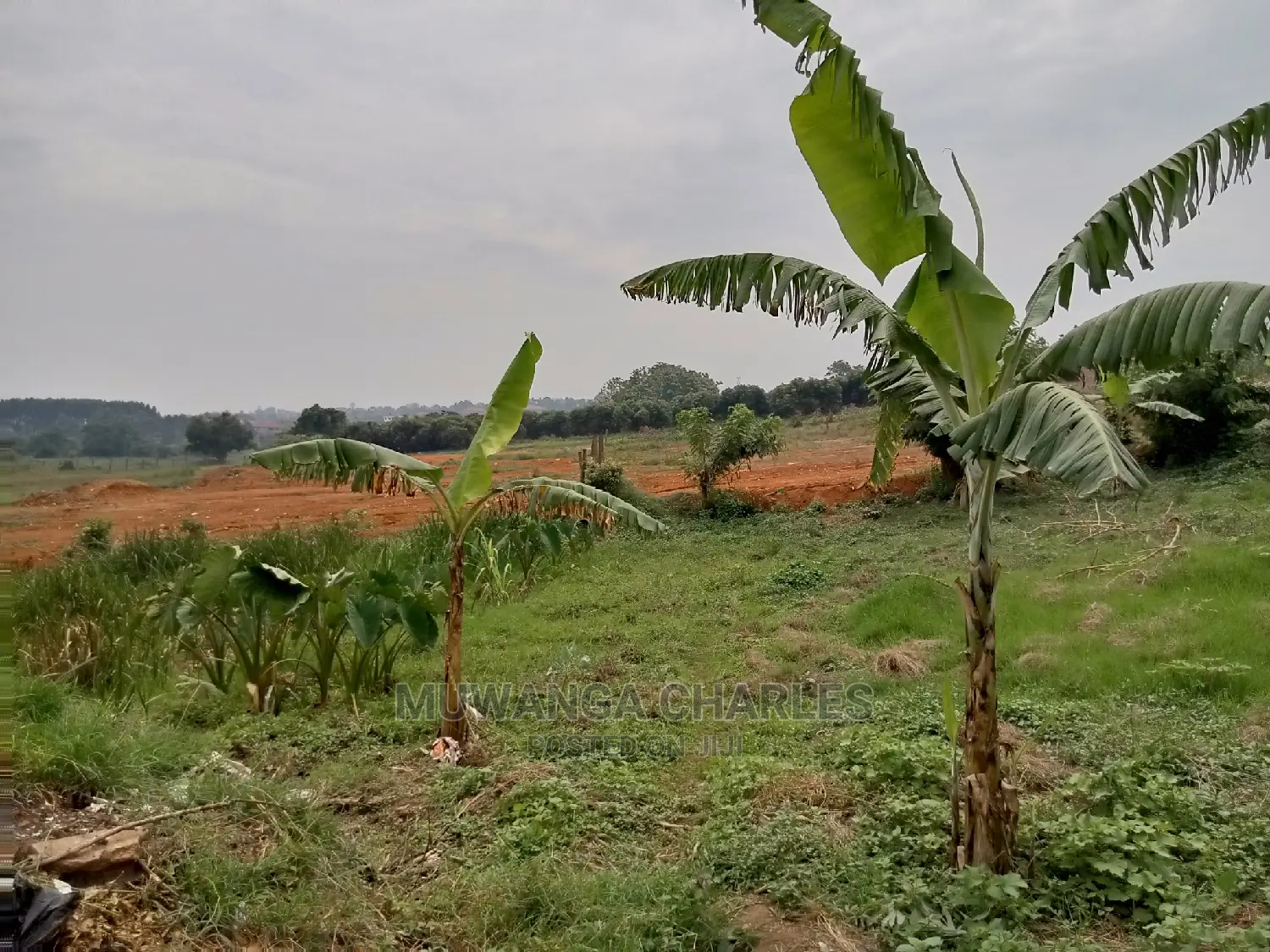 15decimals For Sale In Kyanja Kungu