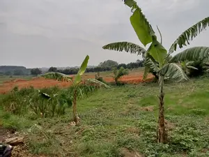 15decimals For Sale In Kyanja Kungu