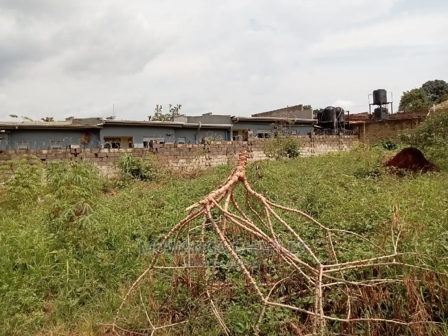 12decimals For Sale In Buwate
