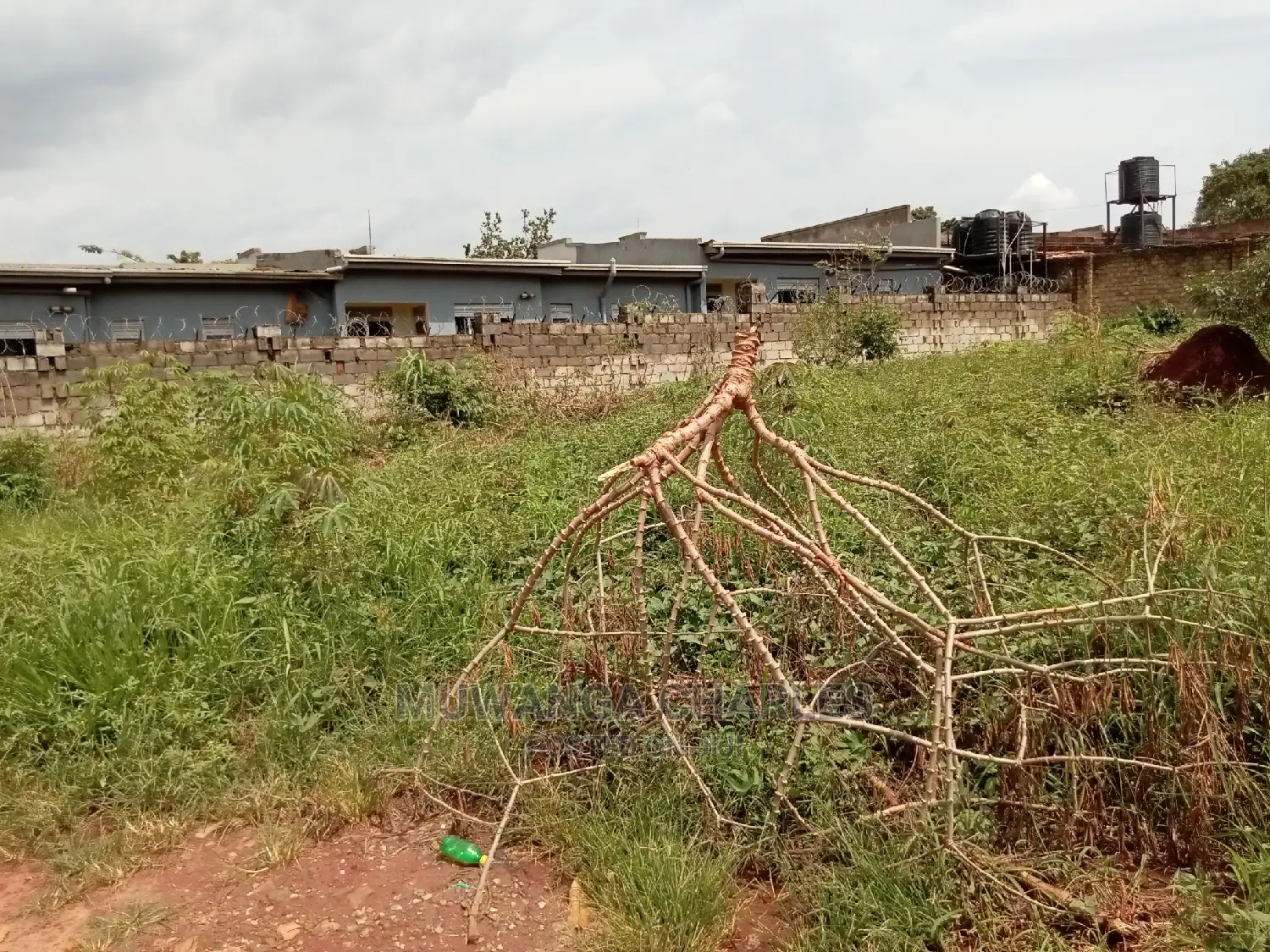 12decimals For Sale In Buwate