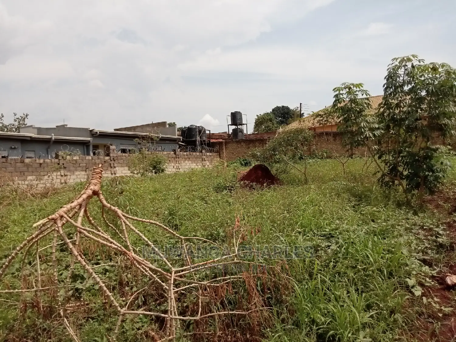 12decimals For Sale In Buwate
