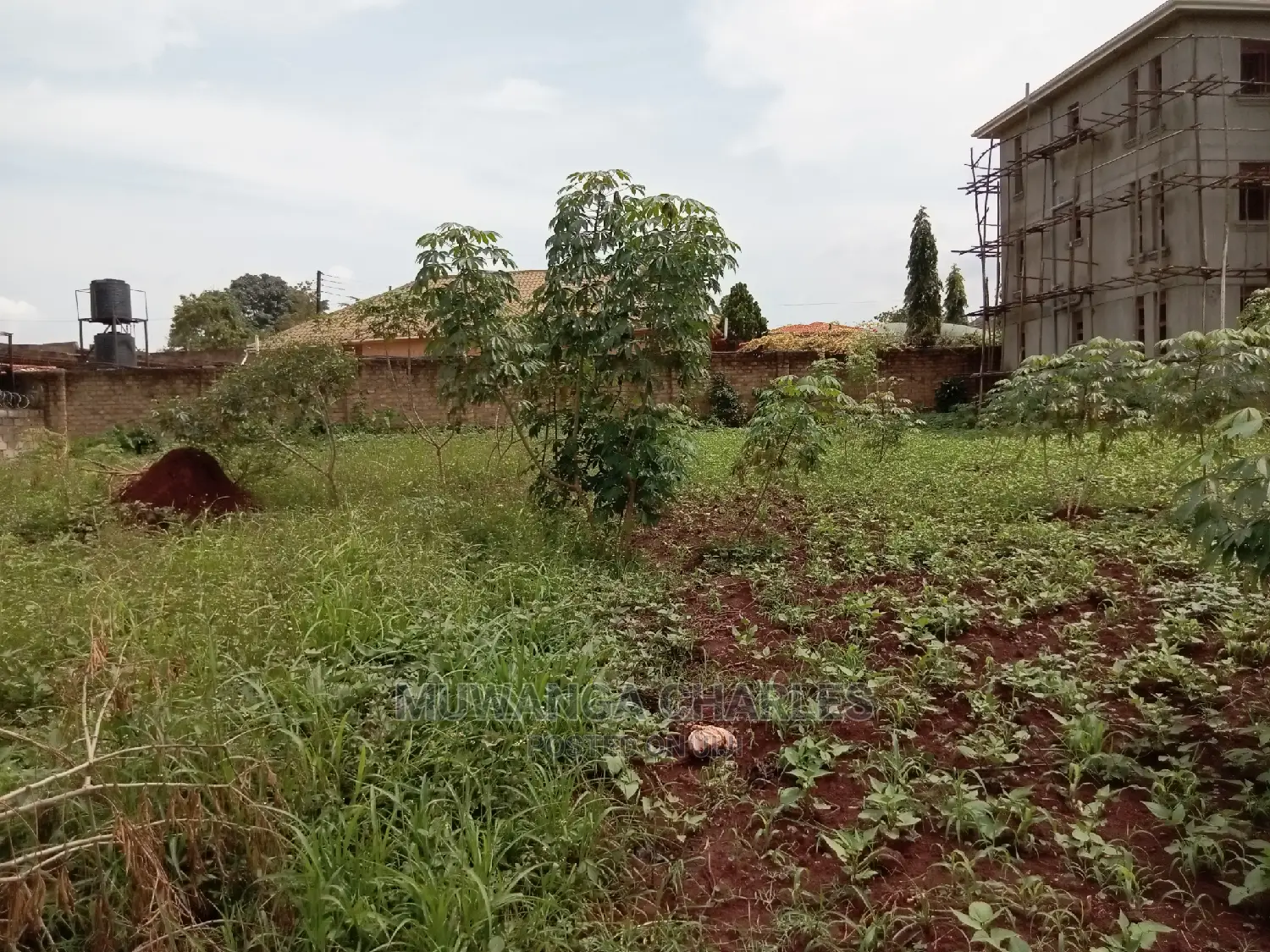 12decimals For Sale In Buwate