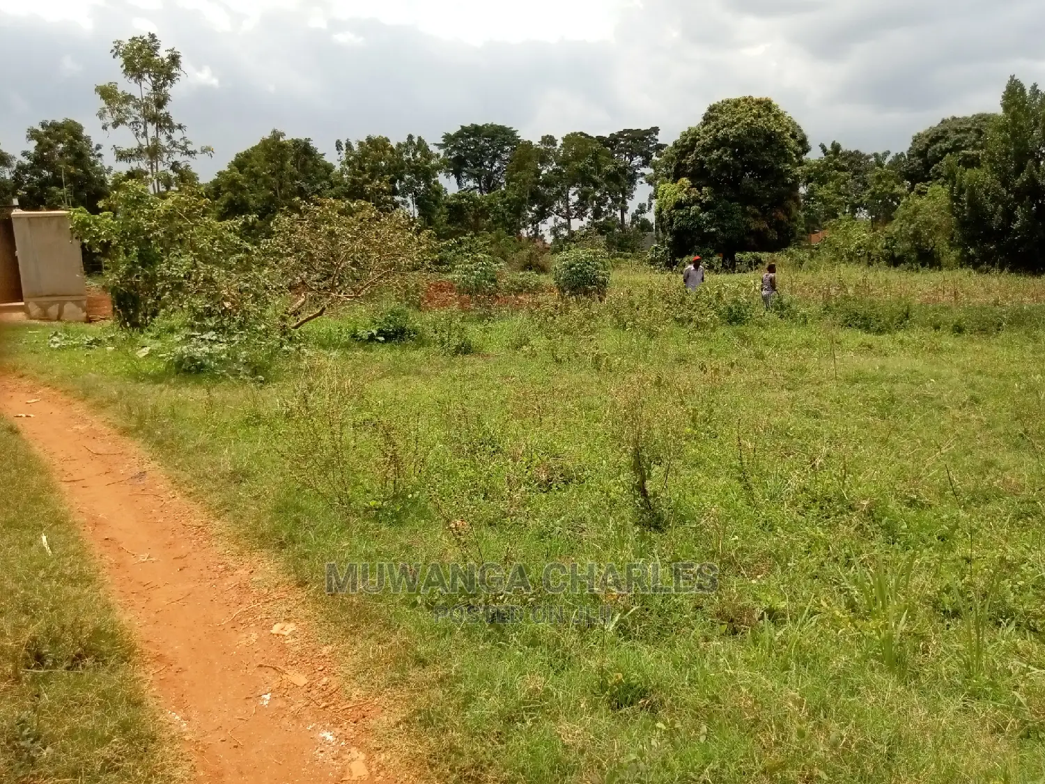 12decimals For Sale In Buwate