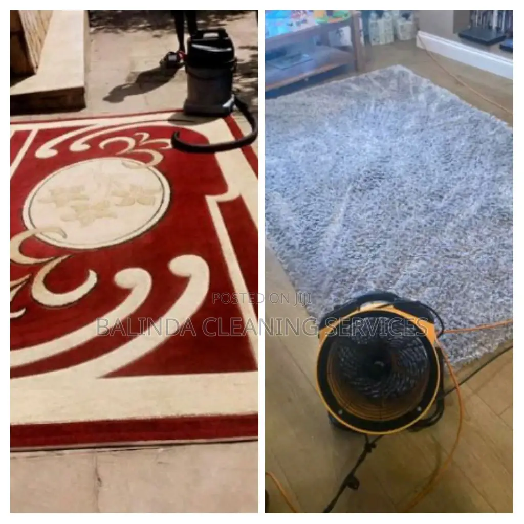 We Make Your Carpets Clean To Look New