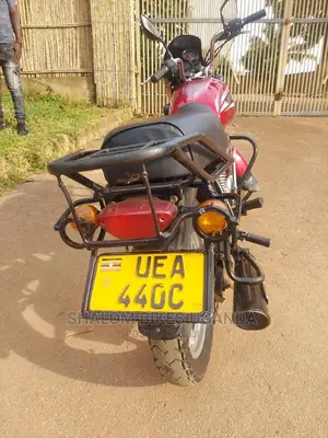 Photo - Bajaj Pulsar 150 2020 Silver