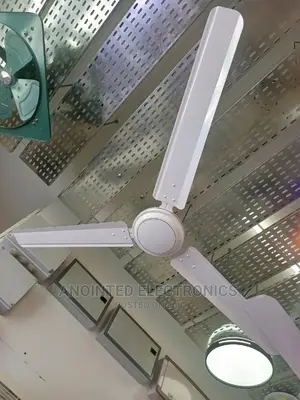 Ceiling Fans