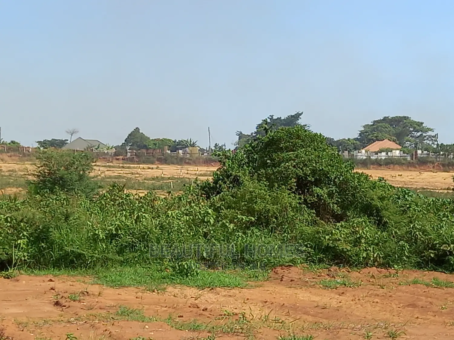 Kigo Fantastic Plots on Sell