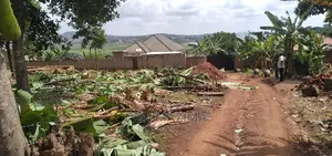 Affordable Sweet Plot Quicksale After Munyonyo With Gd View