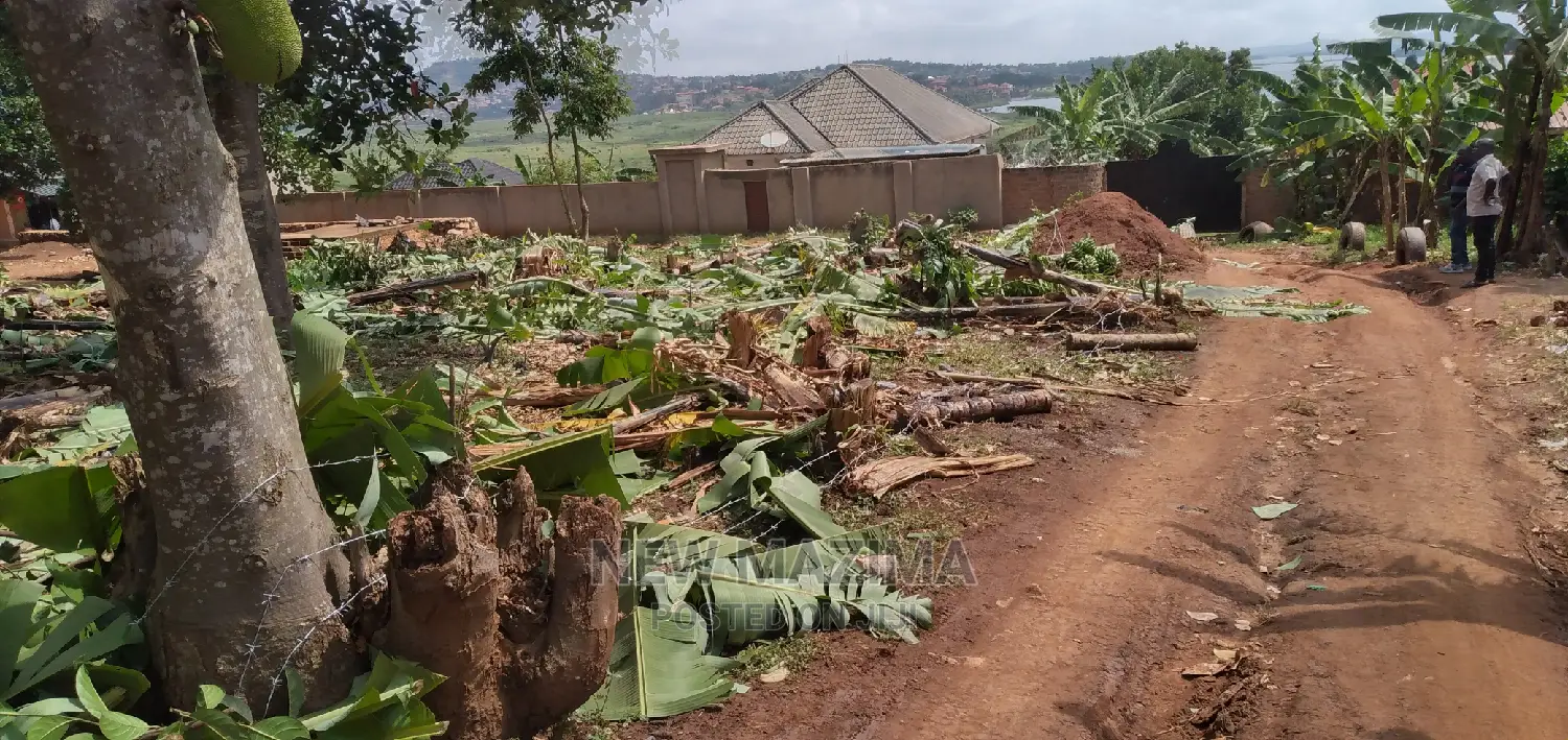 Affordable Sweet Plot Quicksale After Munyonyo With Gd View