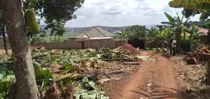 Affordable Sweet Plot Quicksale After Munyonyo With Gd View