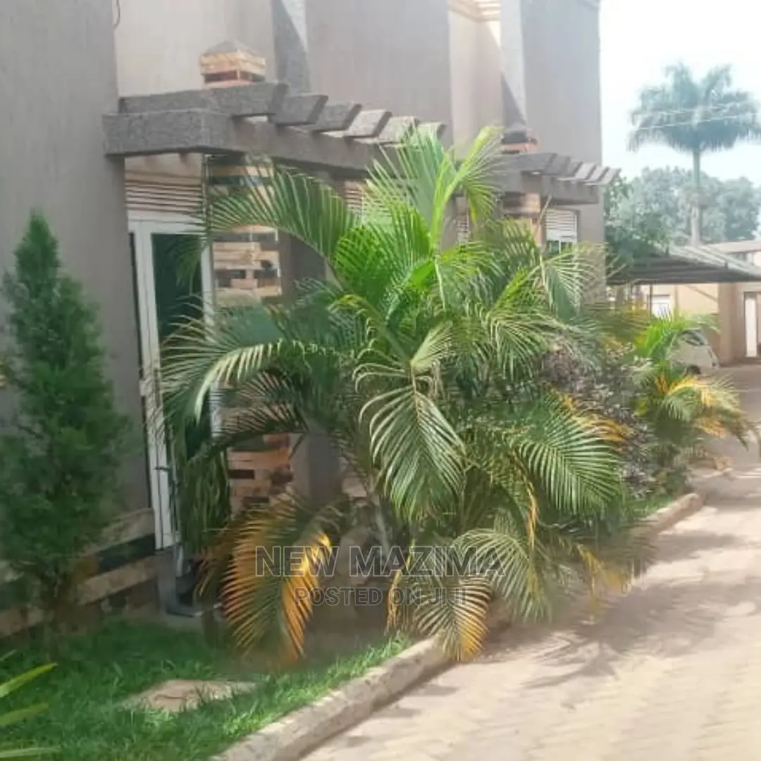Furnished 1bdrm House in Munyonyo, Central Division for Rent