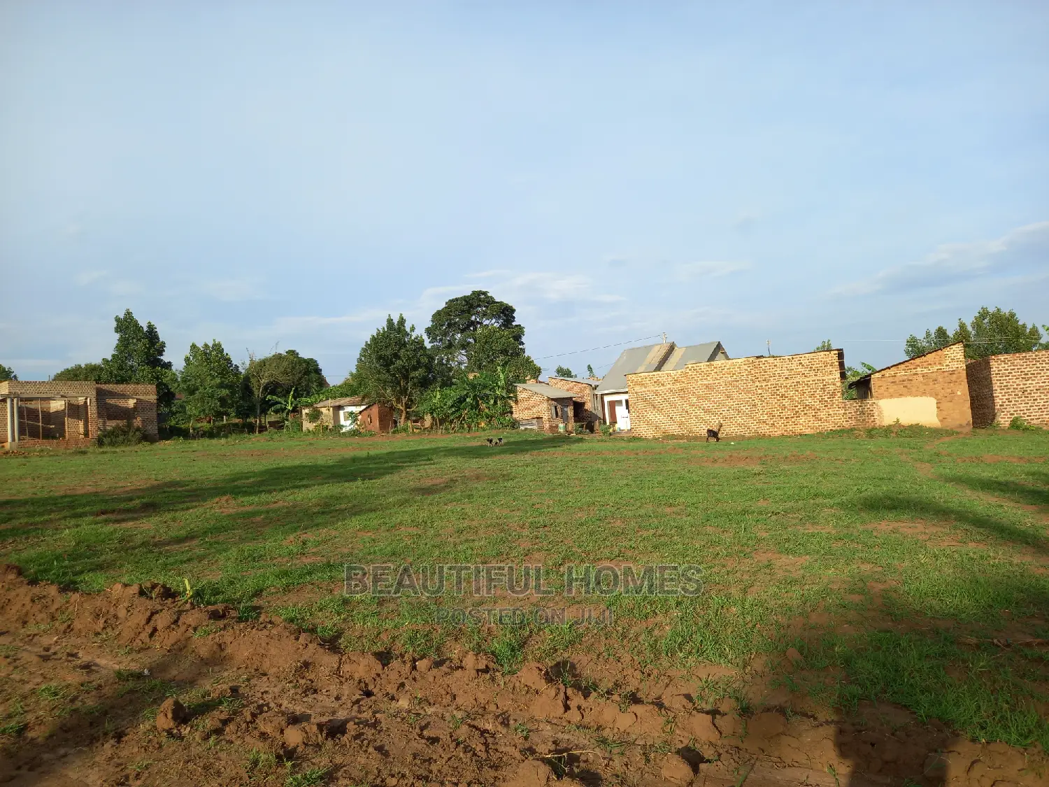 Buwambo Beautiful Land on Sell