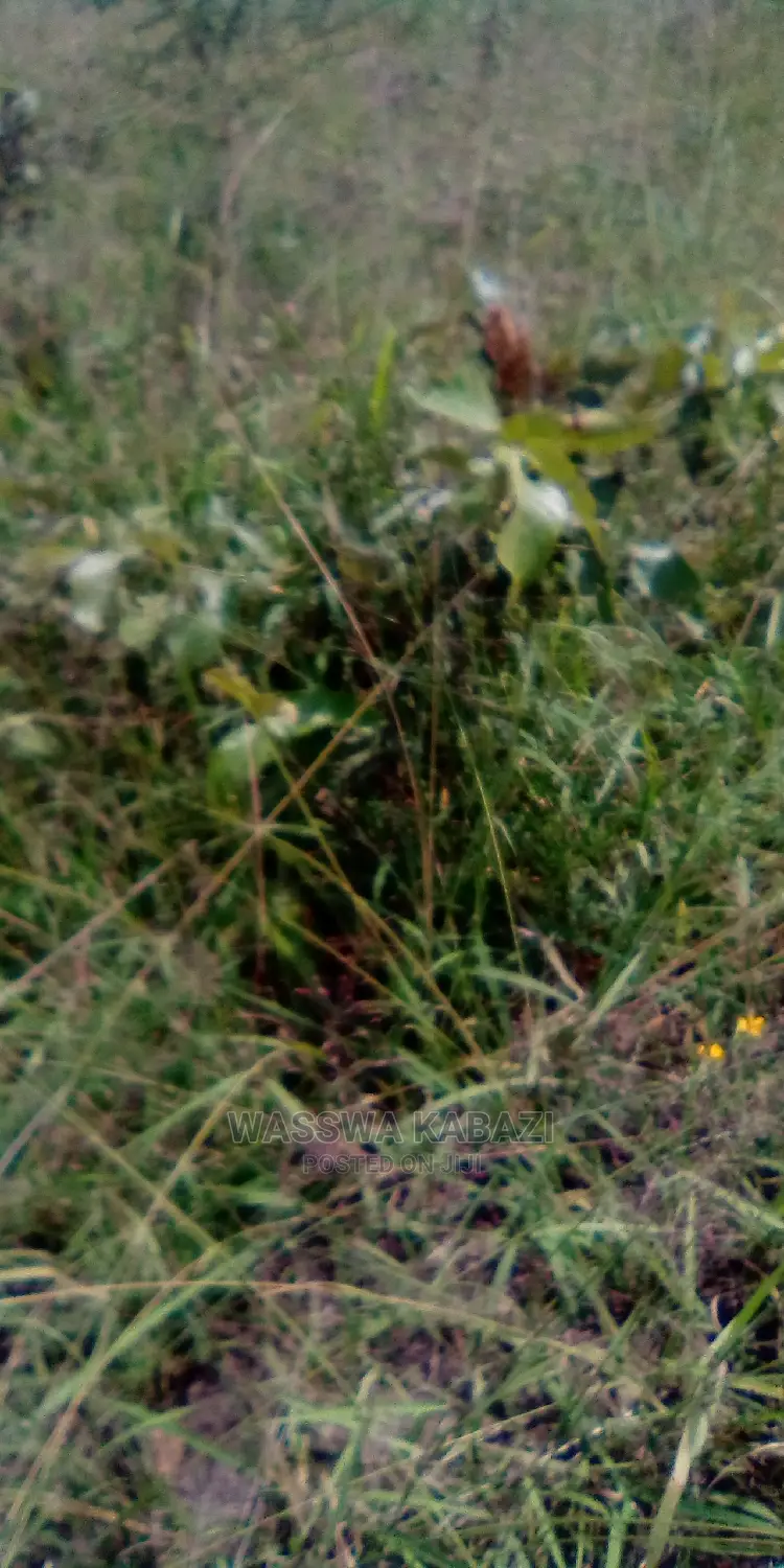 Land ,Plots and Farm for Sell in Veriety Around Uganda