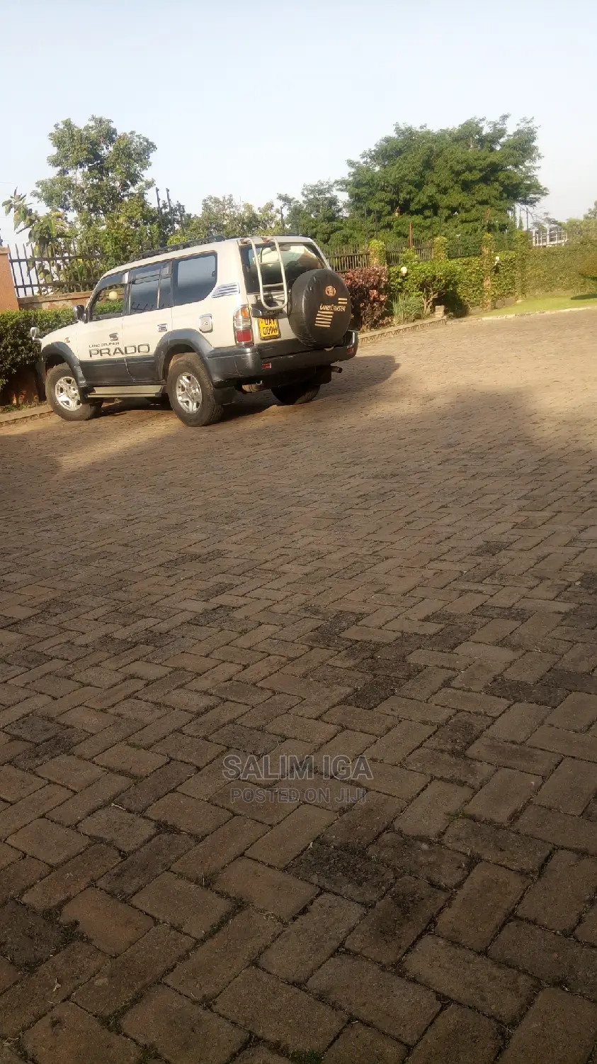 3bdrm Block of Flats in Kololo Property, Central Division for Rent