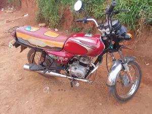 Bajaj Pulsar NS 200 2021 Gray