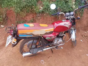 Bajaj Pulsar NS 200 2021 Gray