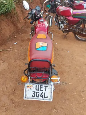 Bajaj Pulsar NS 200 2021 Gray