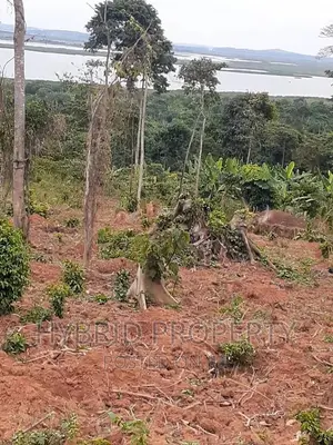 120acres of Land for Sale at Bussi Island in Entebbe