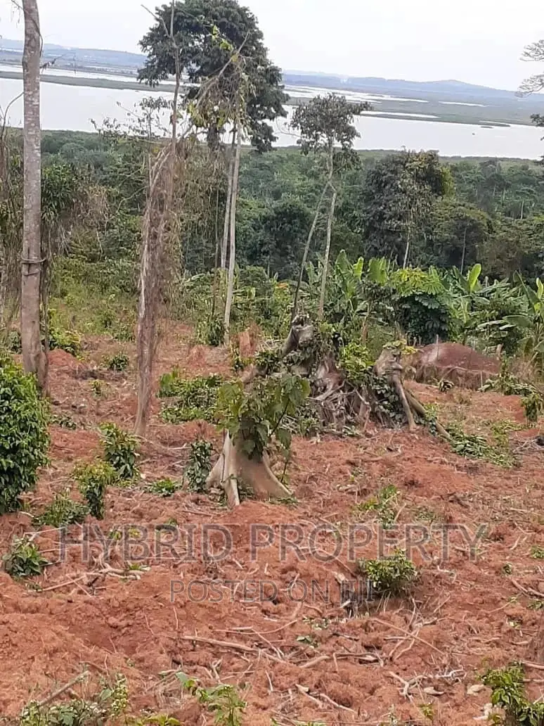 120acres of Land for Sale at Bussi Island in Entebbe