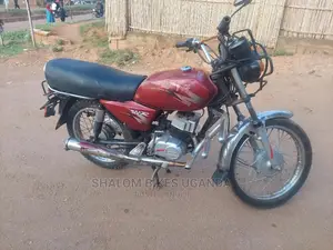 TVS 2019 Blue