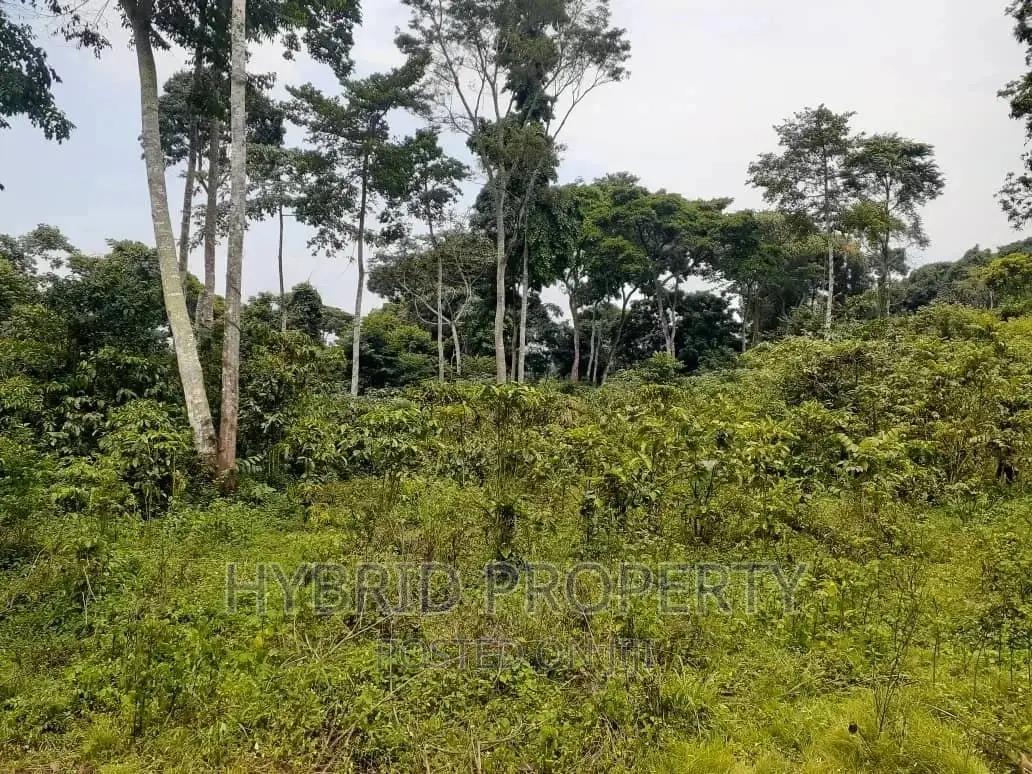 120acres of Land for Sale at Bussi Island in Entebbe