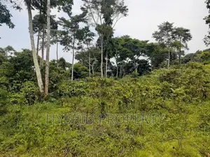 120acres of Land for Sale at Bussi Island in Entebbe