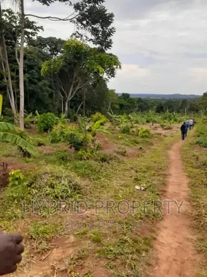 120acres of Land for Sale at Bussi Island in Entebbe