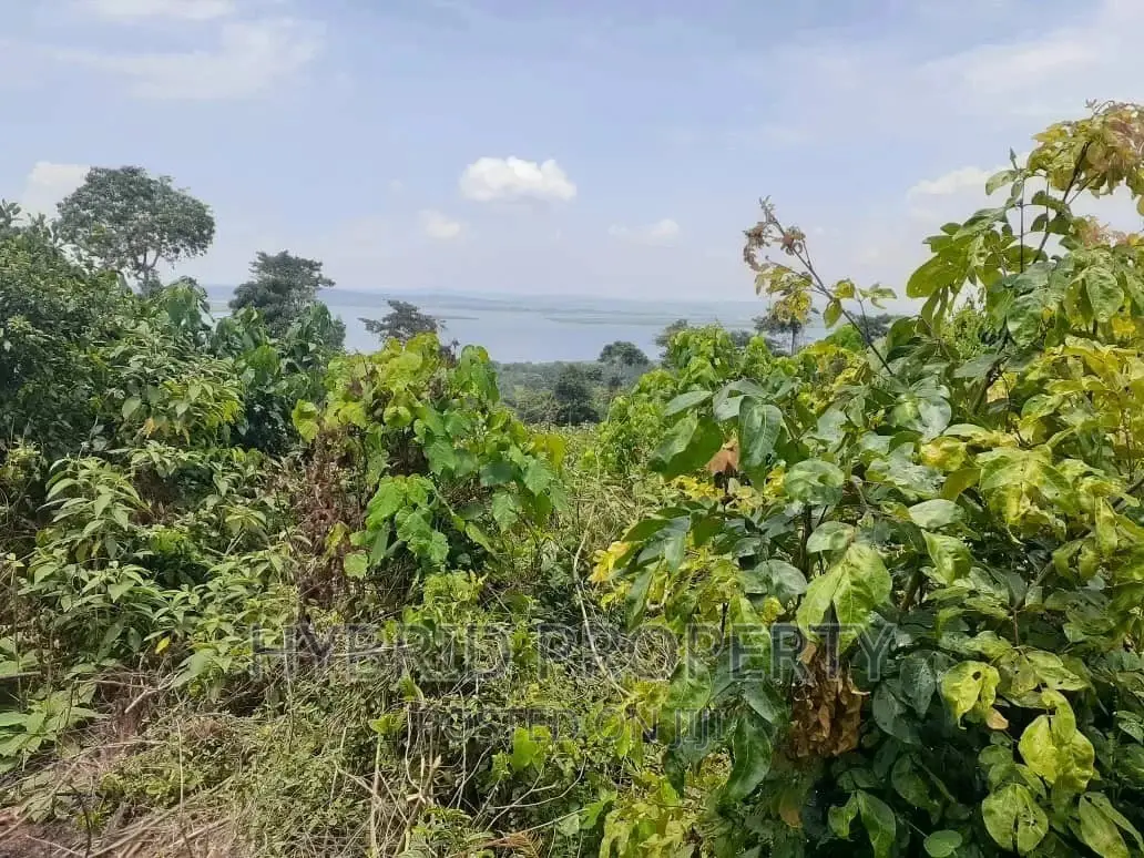 120acres of Land for Sale at Bussi Island in Entebbe