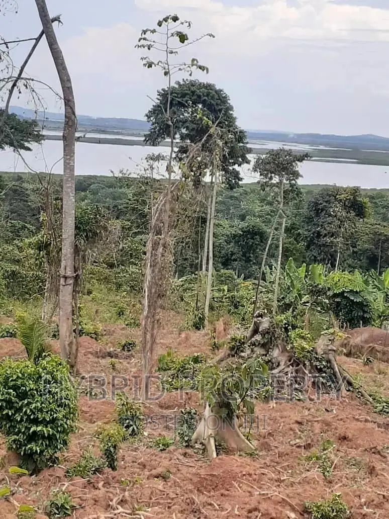 120acres of Land for Sale at Bussi Island in Entebbe