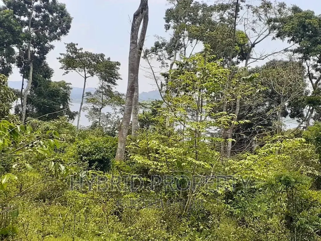 120acres of Land for Sale at Bussi Island in Entebbe