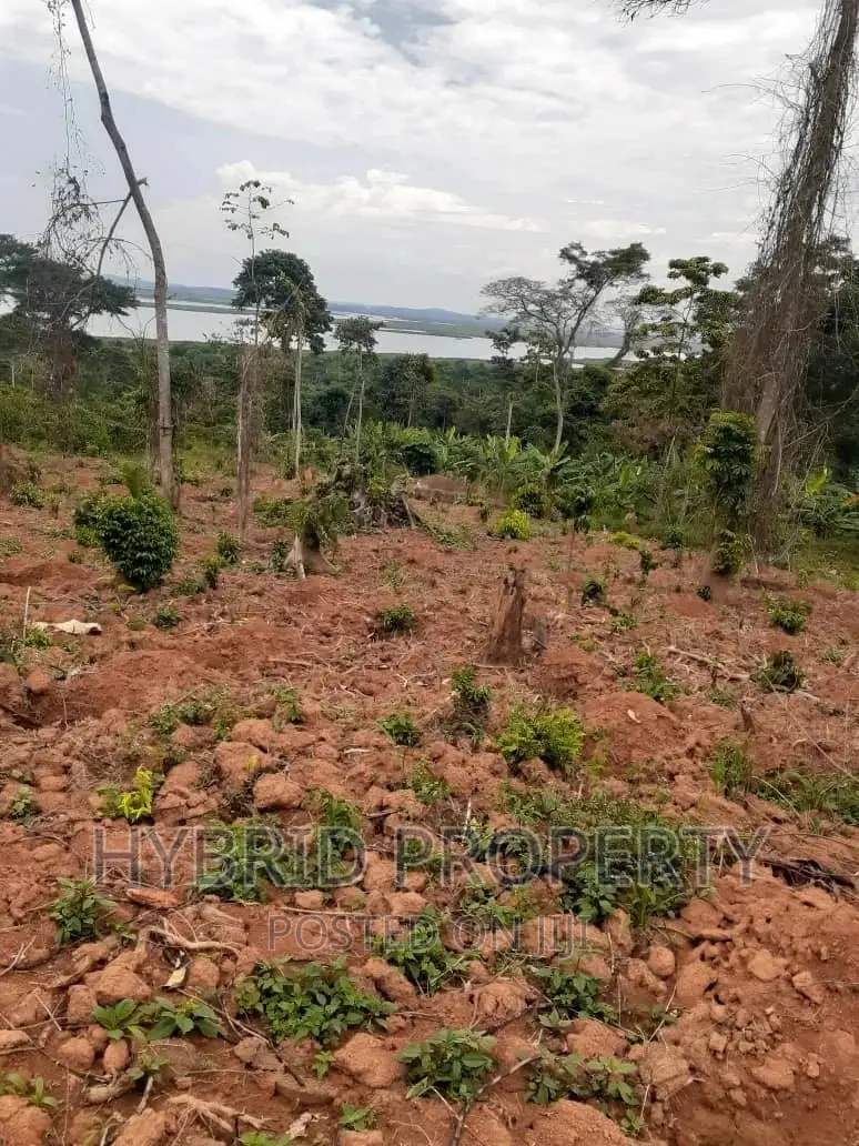 120acres of Land for Sale at Bussi Island in Entebbe