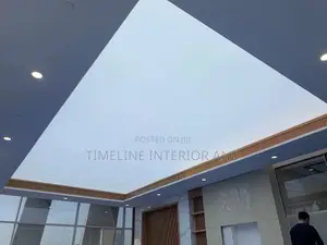 Gypsum and Stretch Ceilling.