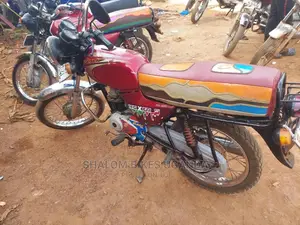Bajaj Pulsar NS 200 2021 Gray